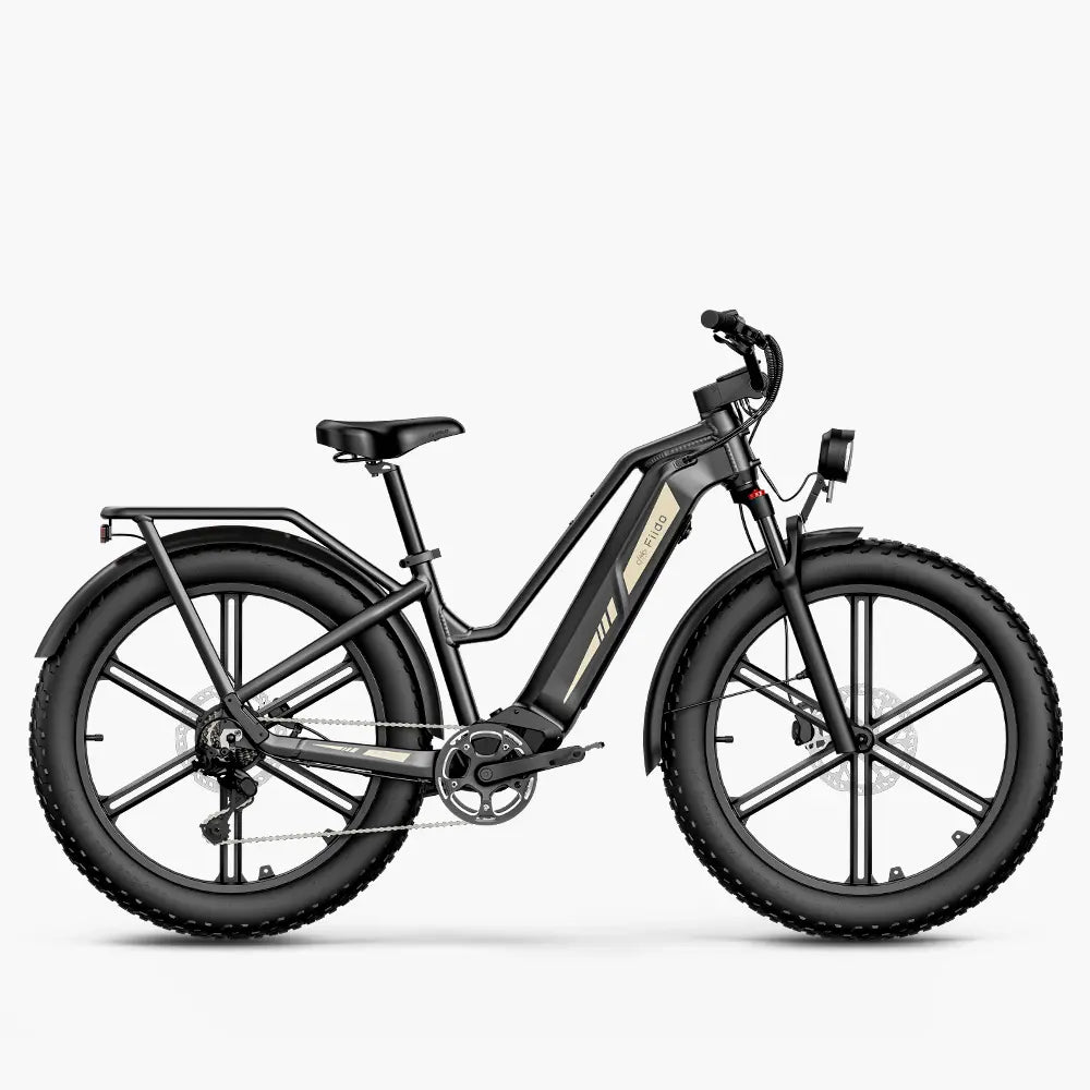 Fat Bike Super Cycle Big Wheel Fiido Titan Off-Road Cargo EBike