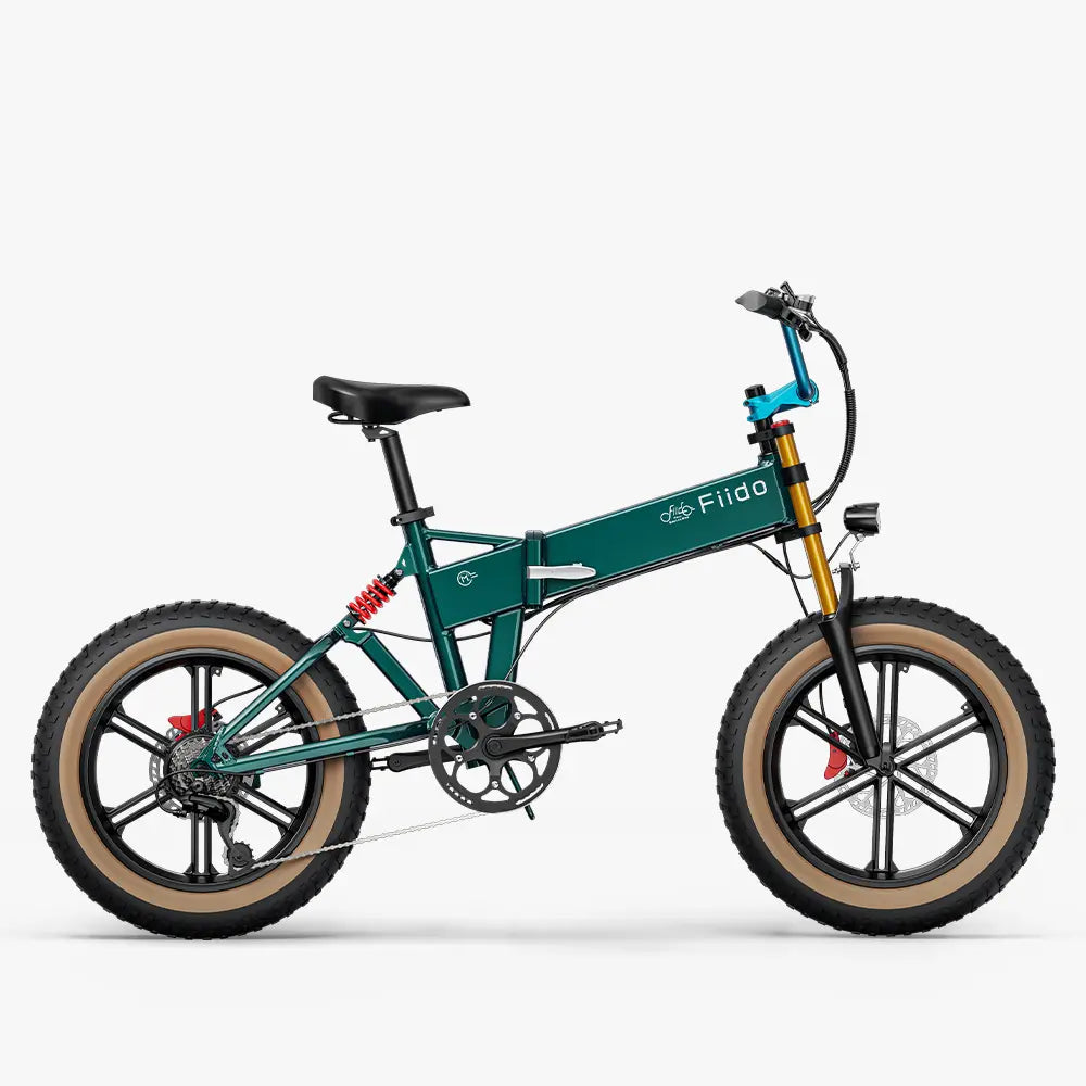 Fiido M1 Pro Mountain Folding EBike with Fat Tire