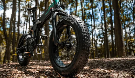 Fiido off road fat tire e-bike.