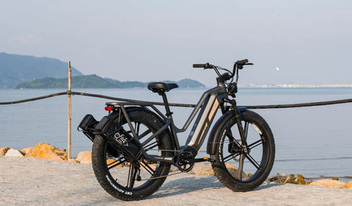 The Fiido Titan electric bike parked lakeside, highlighting its robust frame.