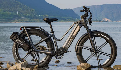 Fiido Titan Electric Bike Comprehensive Guide