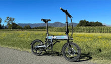 Fiido D2S electric bicycles are placed on the roadside