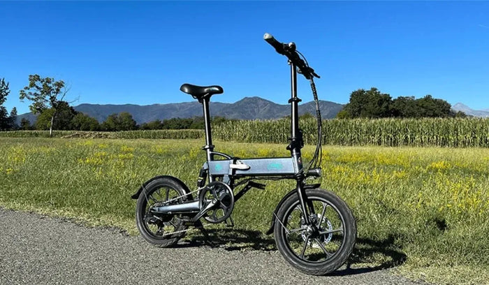 Fiido D2S electric bicycles are placed on the roadside