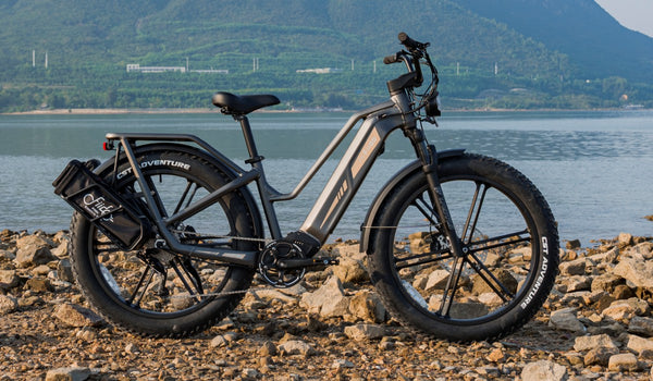 Fiido E-Bike Innovations: Unveiling the Latest Technological Advancements