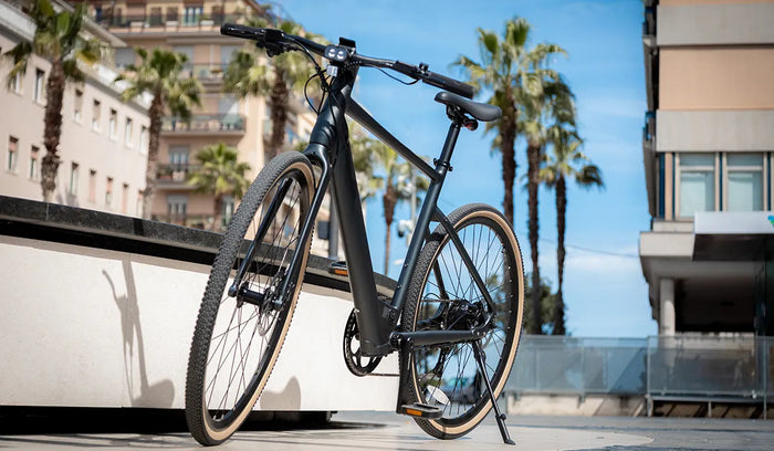 A Fiido C21 electric bicycle is temporarily parked on the roadside