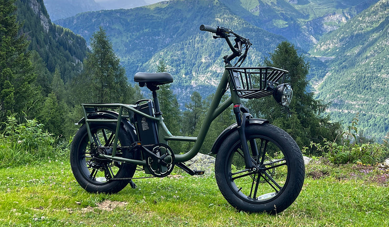 Fiido T1 Pro, A Multi-Purpose E-bike That Can be An Alternative to A Vehicle