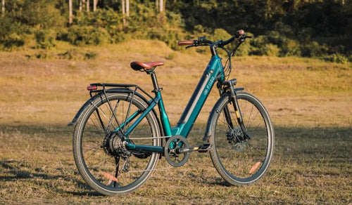 A Fiido C11 electric bike was temporarily parked by the roadside.