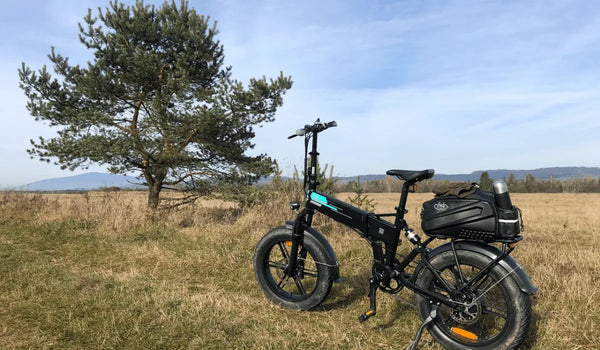 Fiido M1 Pro is parked on a grassy mountain terrain, next to a large tree.