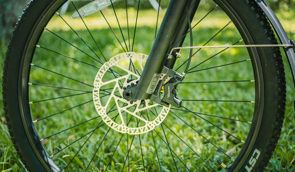 Fiido Nomads touring ebike's tire spoke