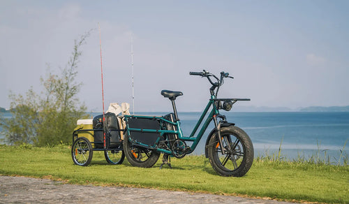 Fiido T2 long-tail electric bike parked by the lake