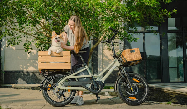 Fiido T3 electric cargo bike carrying a pet