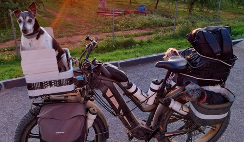 Three Rescue Dogs, One Fiido Titan, and the Joy of Getting Outdoors