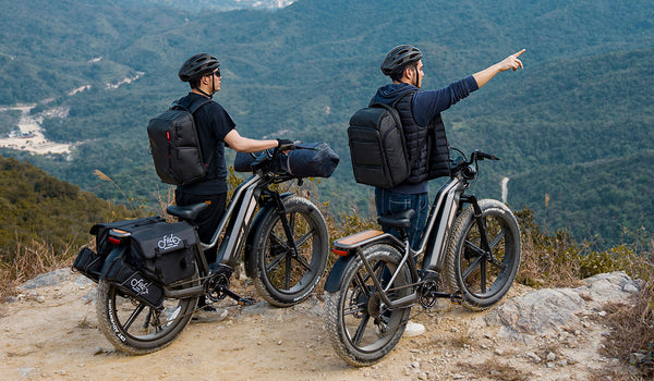 Fiido Titan E-bike VS Aventon Aventure.2 E-bike