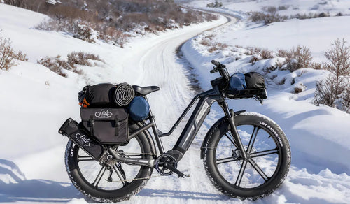 A Fiido Titan fat tire electric bike placed in the snow.