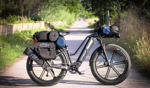 Fiido Titan long distancce fat tire electric bike