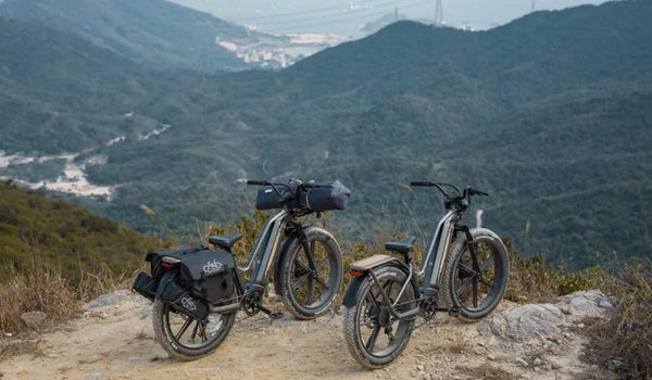 Fiido Titan off-road electric bicycle parked on the edge of a cliff