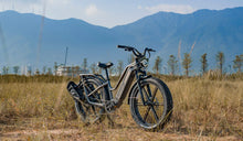 A Fiido Titan hunting electric bike is temporarily parked by the roadside.