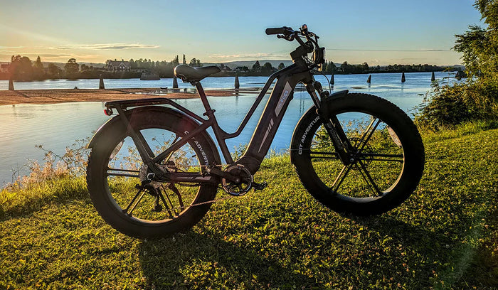 Fiido Titan electric bike parked by the lake
