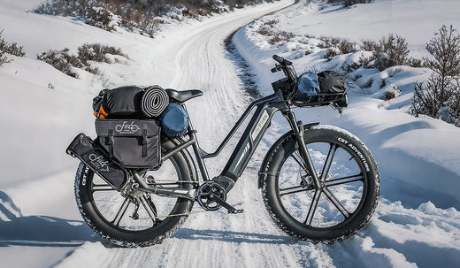 Fiido Titan electric bicycle parked on the snow