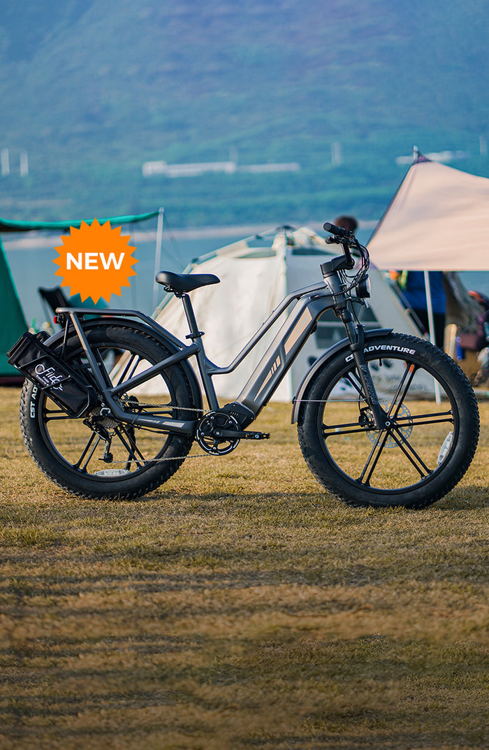 Fiido Best Electric Bike Brand Online Shop - Fiido Company