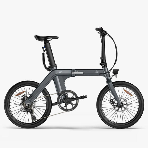 Fiido D11 Folding E-bike