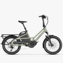 Fiido T3 Urban Family Cargo E-Bike