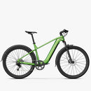 Fiido Nomads Touring E-Bike