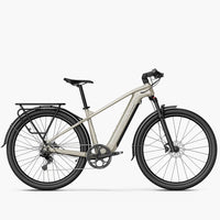 Fiido Nomads Touring E-Bike