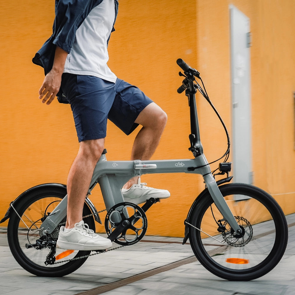 Fiido D11 Folding Lightweight Ebike - Main Image