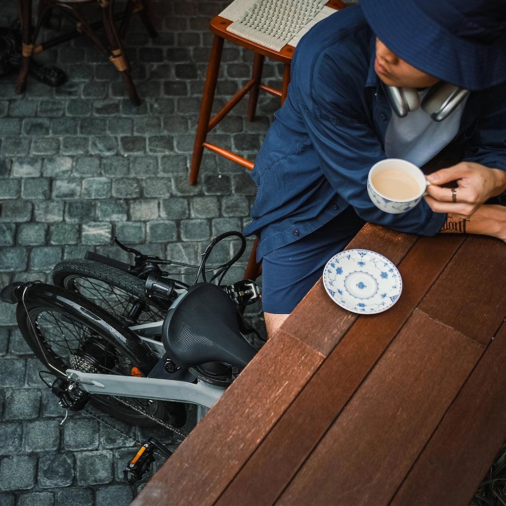 Fiido D11 Folding E-bike