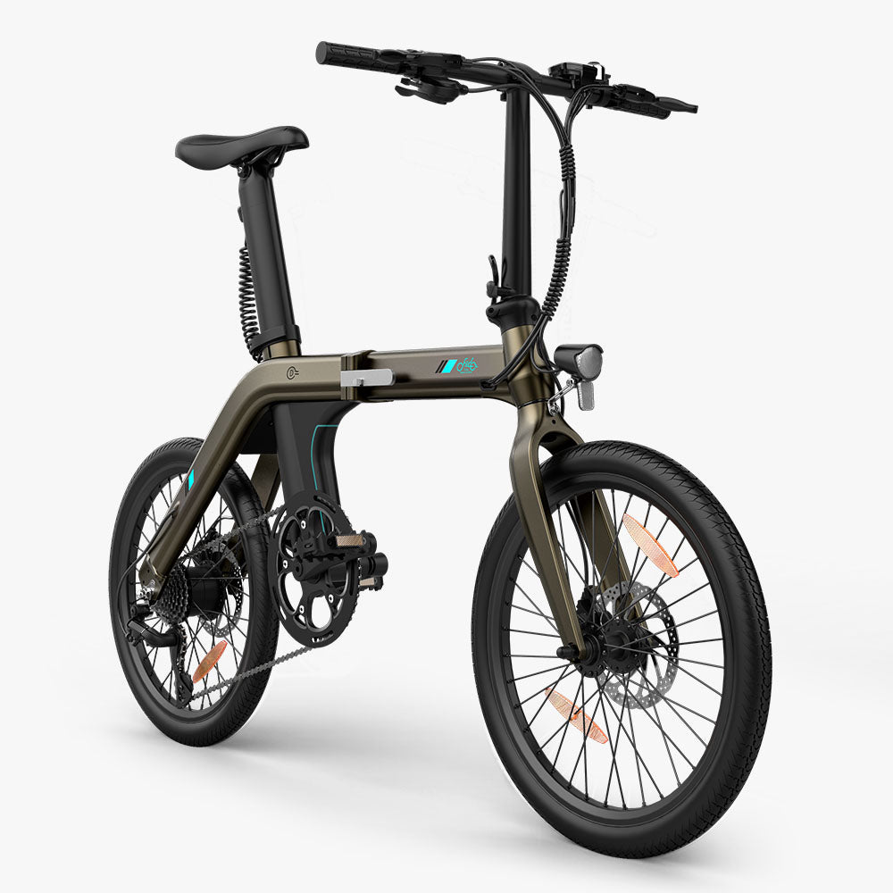 Fiido D21 Folding Electric Bike With Torque Sensor