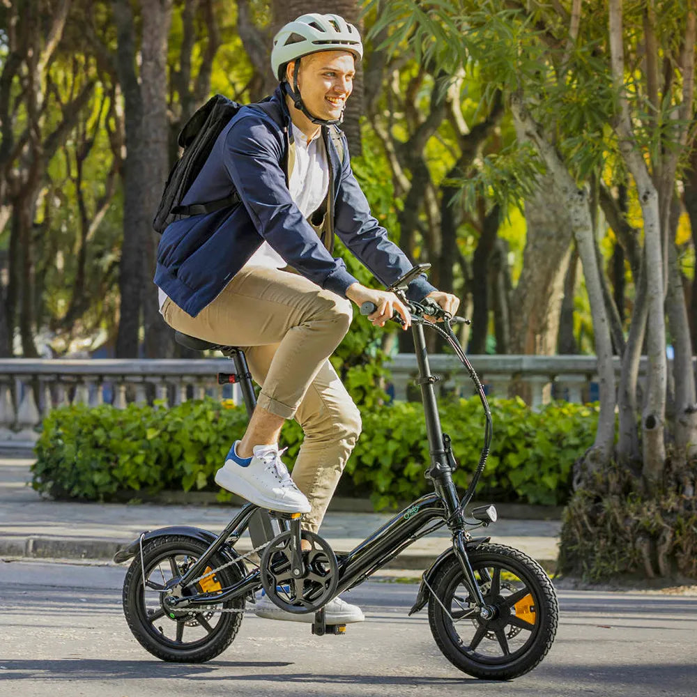 Fiido D3 Pro Mini Electric Bike