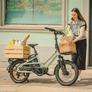 Fiido T3 Urban Family Cargo E-Bike