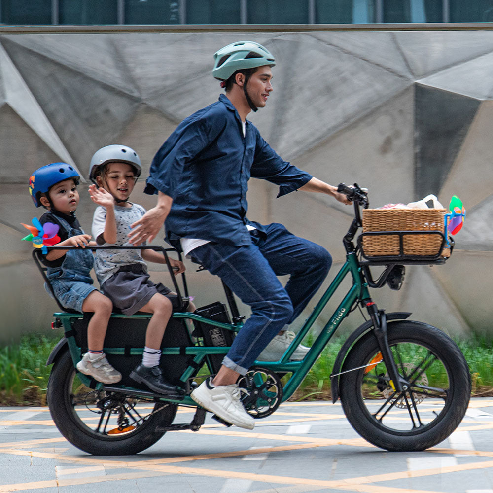 Fiido T2 Longtail Cargo E-bike