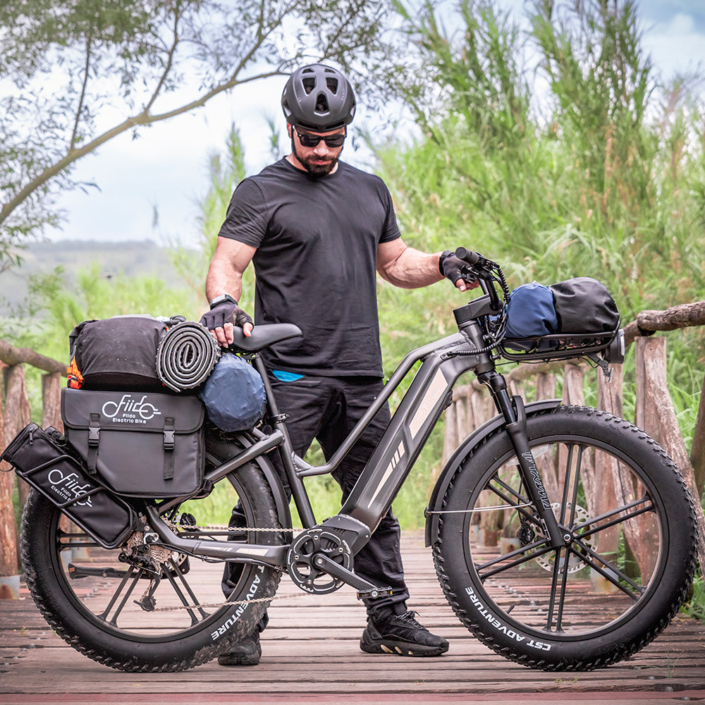 Mountain Bike Fiido M1 Amazon Fiido Titan Off-Road Cargo EBike