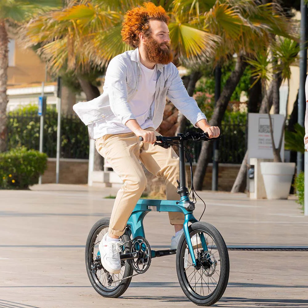 Fiido X Folding Electric Bike With Torque Sensor