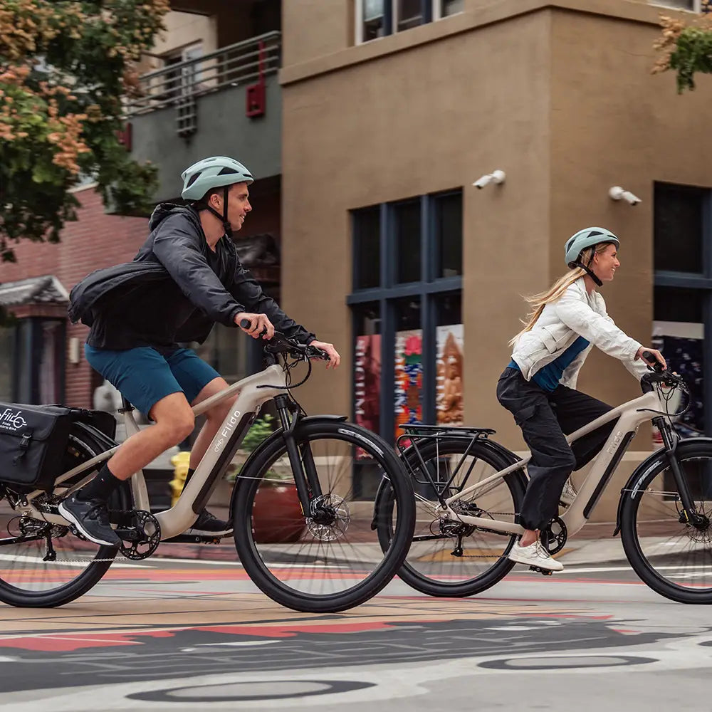 Fiido Nomads Touring E-Bike