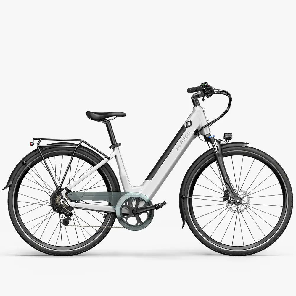 Fiido C11 City E-Bike
