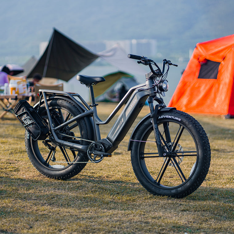 Fiido Fiido Titan Robust Cargo Electric Bike with Torque Sensor and UL certi