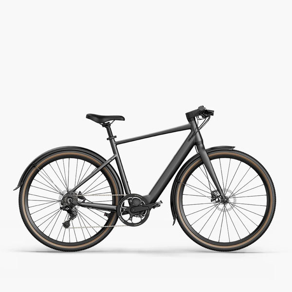 Fiido C21 E-gravel & city E-bike