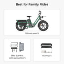 Fiido T2 Electric Cargo Bike: 200 kg Payload, 136.26 km Long Range