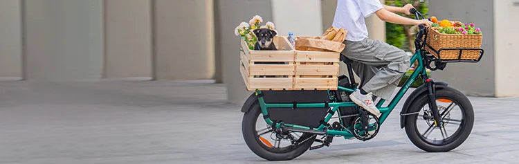 Woman riding a Fiido T2 cargo electric bike for shopping