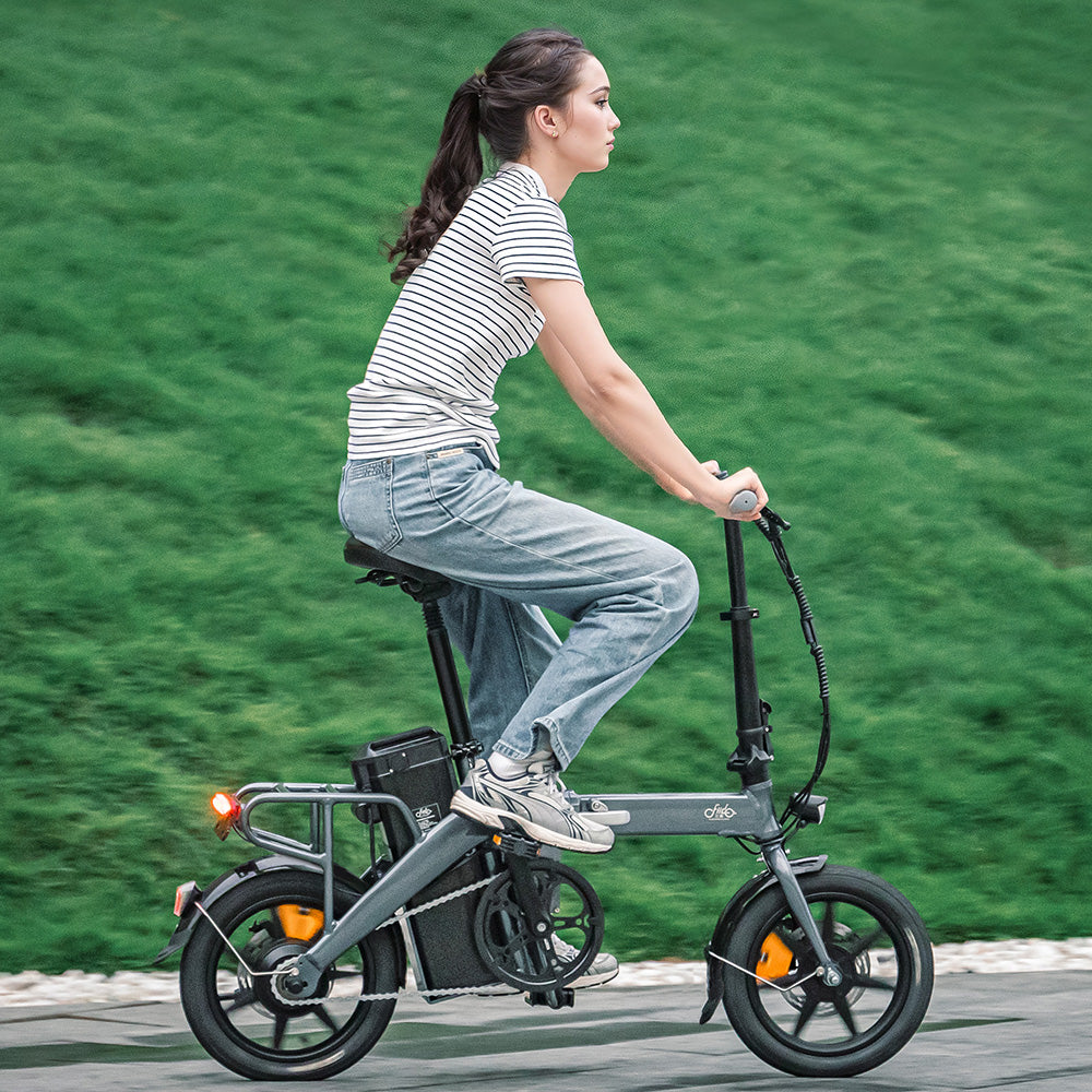 Electric bike for long distance online