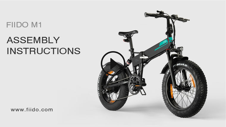 Best Electric Bike Brand Online Shop Fiido Company Best Electric Bike Brand Online Shop Fiido Company