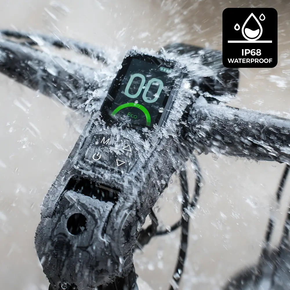 Fiido Nomads Touring E-Bike