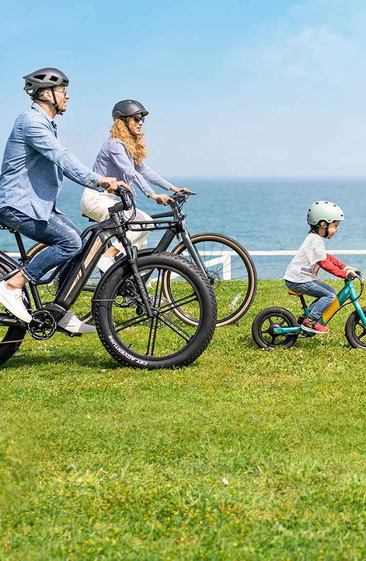 Best Electric Bike Brand Online Shop Fiido Company