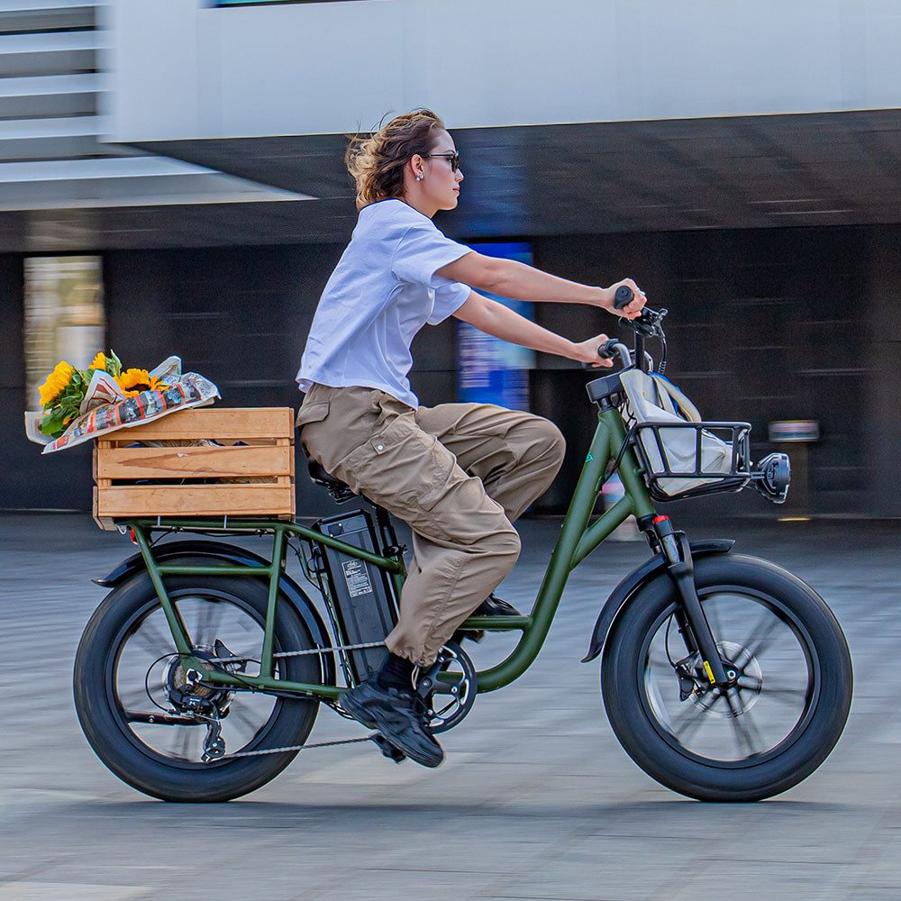 Fiido Fiido T1 Pro - Utility Cargo Ebike with Fat Tires