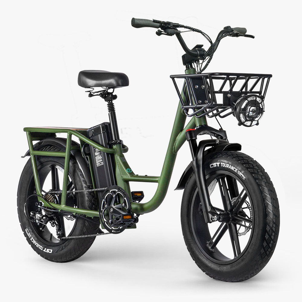 Fiido T1 Pro: Powerful Electric Cargo Bike with Fat Tires Front View