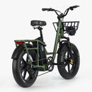 Fiido T1 Pro: Powerful Electric Cargo Bike with Fat Tires Rear View