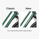 Fiido T2 Longtail Cargo E-bike